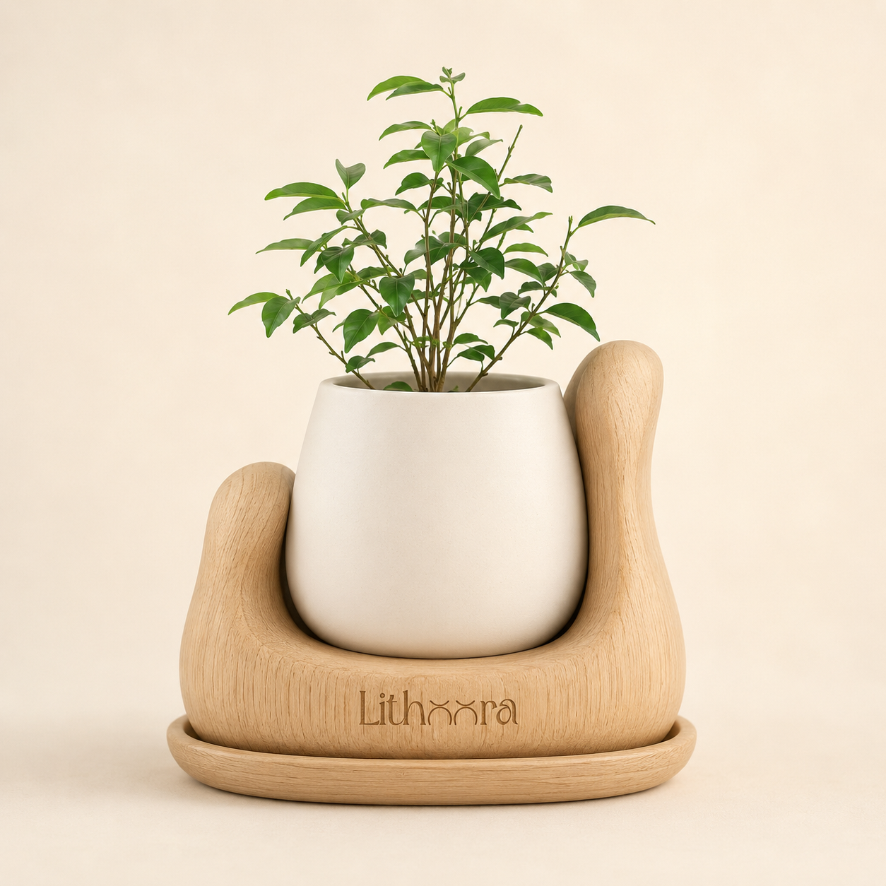 luxury plant